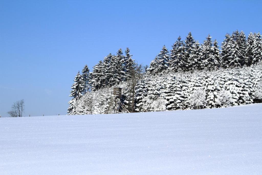 Hotel Schneider Winterberg Zewnętrze zdjęcie