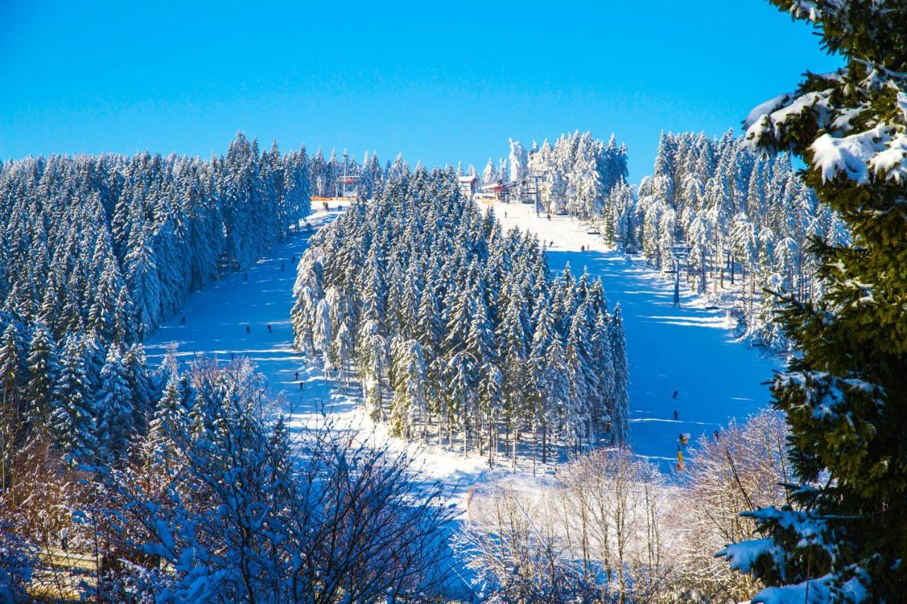Hotel Schneider Winterberg Zewnętrze zdjęcie