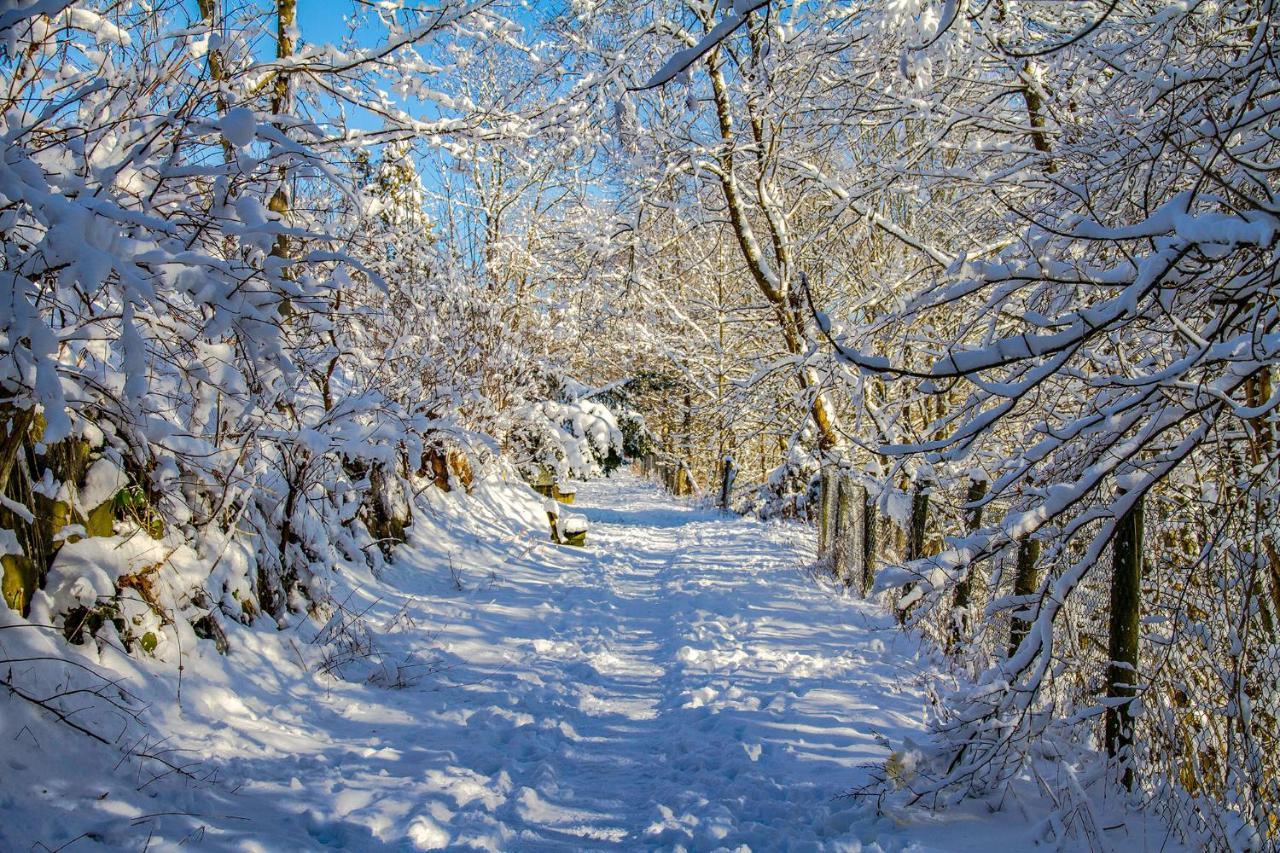 Hotel Schneider Winterberg Zewnętrze zdjęcie